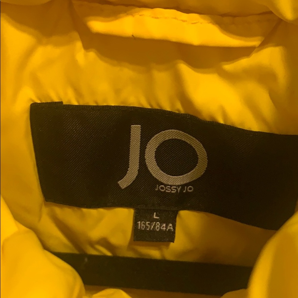 Yellow jacket - Picture 3 of 4